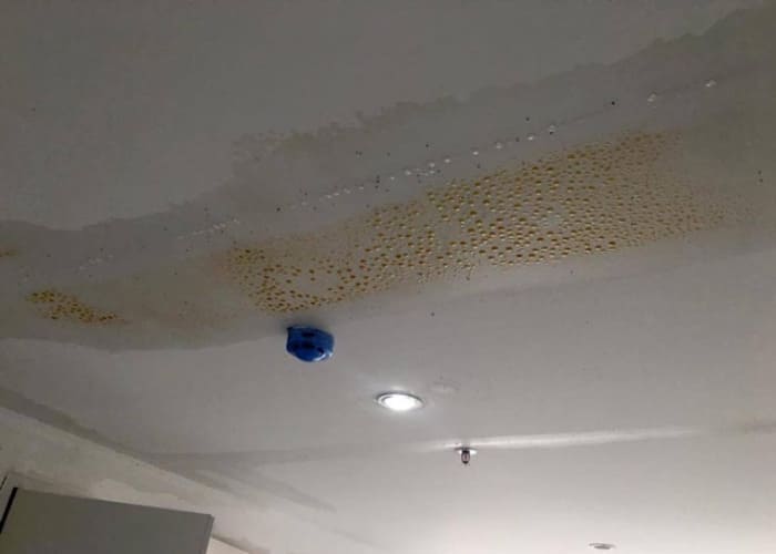 cách chống thấm trần nhà